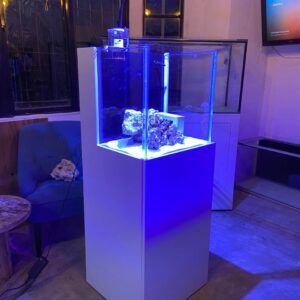 Pecera Cubo de 50cm Premium
