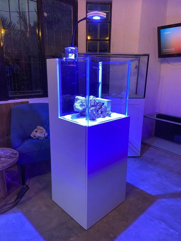 Pecera Cubo de 50cm Premium