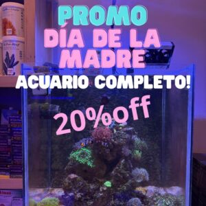Pecera Cubo de 50cm Premium