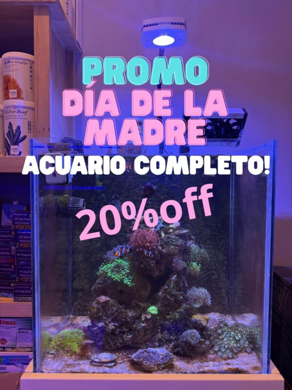 Pecera Cubo de 50cm Premium