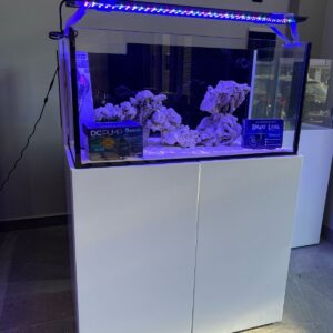 Acuario Reef Premium 100x50x45