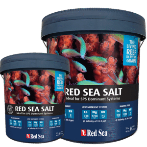 Red Sea Salt