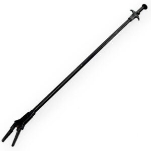 Pinza