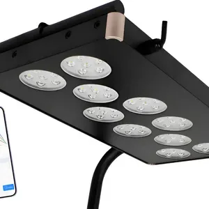 OceanTech Iluminación Solara