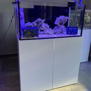 Reef 100 Base