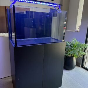 Reef 80